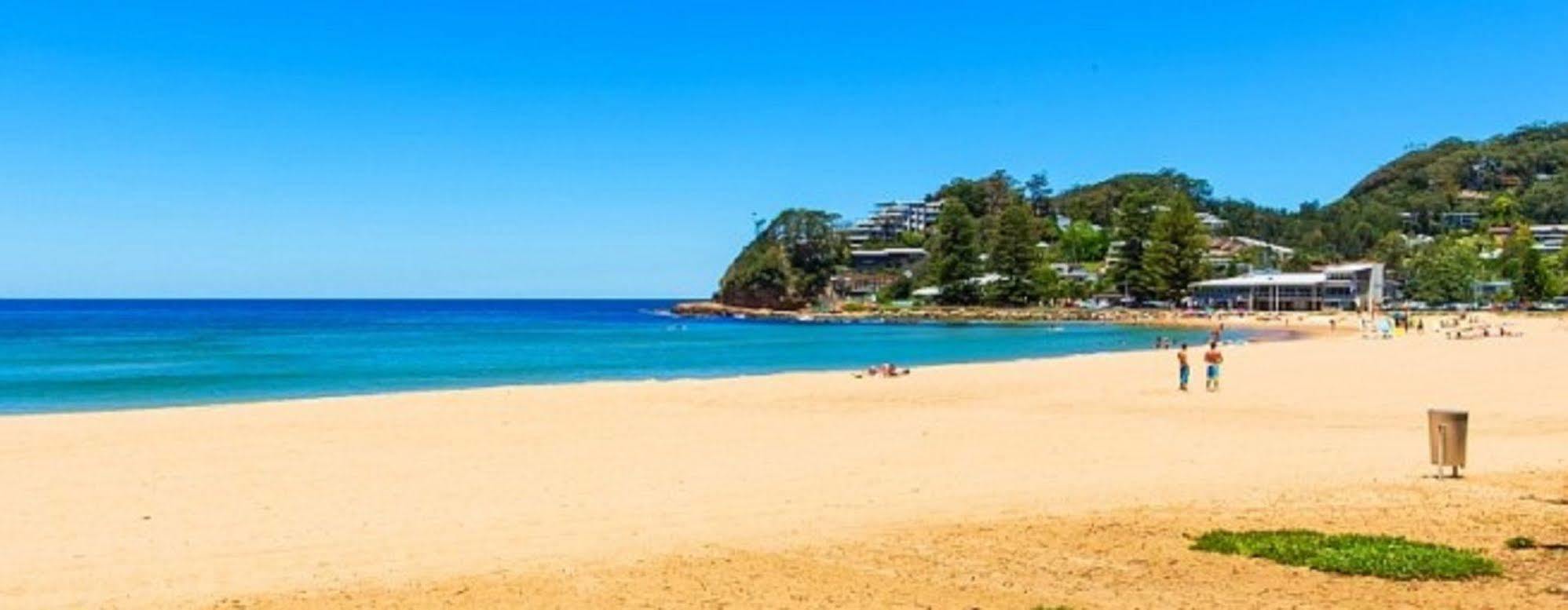 Avoca Palms Terrigal